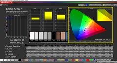 CalMAN ColorChecker（目标色彩空间 P3）