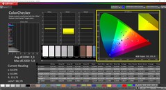 CalMAN ColorChecker（真彩色配置文件：Display-P3）