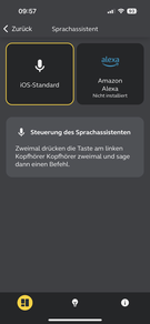 语言助手: iOS/iPadOS