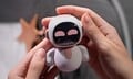 用户可以通过 Wi-Fi 与 Eiliko 聊天，给它下达语音命令，或者只是看着它做自己的事情（图片来源：energizelab.com）