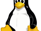 Linux 内核 6.11 即将发布，它将带来对新硬件的支持。(图片：维基共享资源）