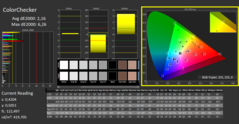 CalMAN - 校准了ColorChecker