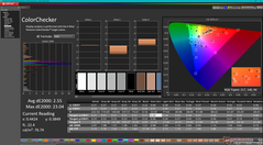 校准后的 ColorChecker