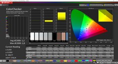 CalMAN ColorChecker（目标色彩空间 P3）