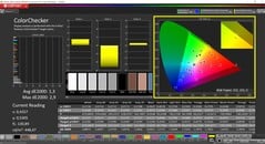 CalMAN ColorChecker（配置文件：P3，目标色彩空间：P3）