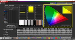 CalMAN ColorChecker（Schenker 配置文件）