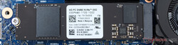 西部数据PC SN560 NVMe SSD