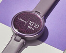 看来 Garmin 将很快取代 Lily，如图所示。(图片来源：Garmin）