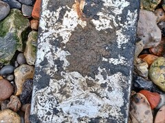 在泰晤士河中被淹没了五年之后，一台迷你 iPad 让伦敦警察局破获了一起长达六年之久的案件。(图片来源：伦敦警察局，英国广播公司）