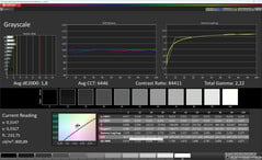 灰度（颜色：专业，色温：暖色，目标色彩空间：sRGB）