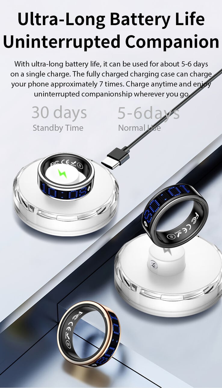 (图片来源：Rogbid）