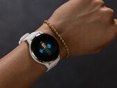 Garmin 14.07 测试版更新适用于 Venu 3 智能手表。(图片来源：Garmin）
