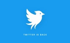 Twitter.now 徽标。这家新的社交网络旨在重现经典的 Twitter 体验。