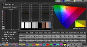 色彩精度（目标色彩空间：sRGB；配置文件：标准）