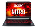 Acer Nitro 5 AN515-55-52DV