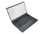 MSI WS66 10TMT-207US MSI WS66 10TMT-207US